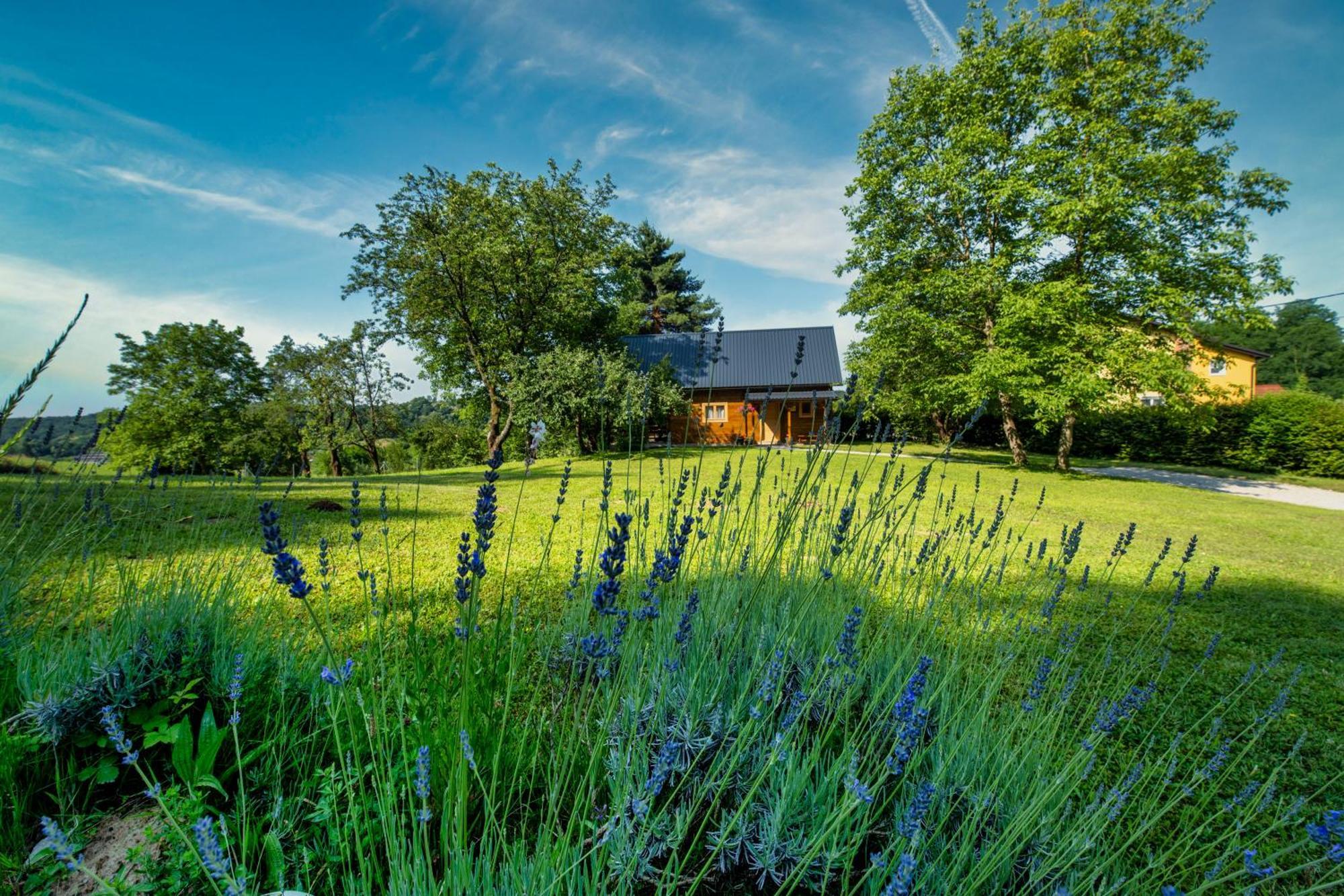 Holiday home House Jela Karlovac